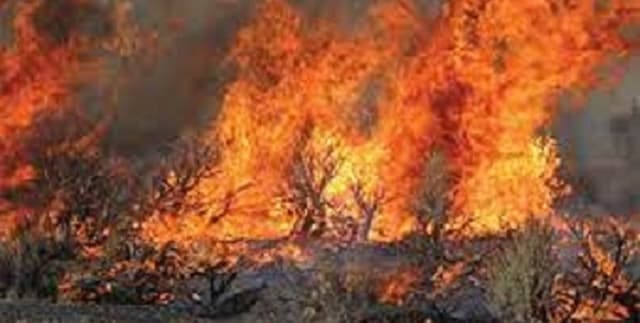 Global Wildfire Incidence Dataset Dataset on Opendatabay data marketplace