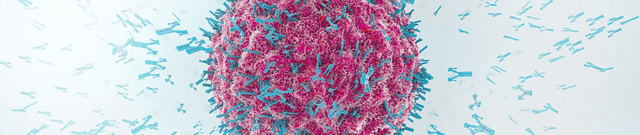 COVID-19 Vaccine Twitter Conversation Data Dataset on Opendatabay data marketplace