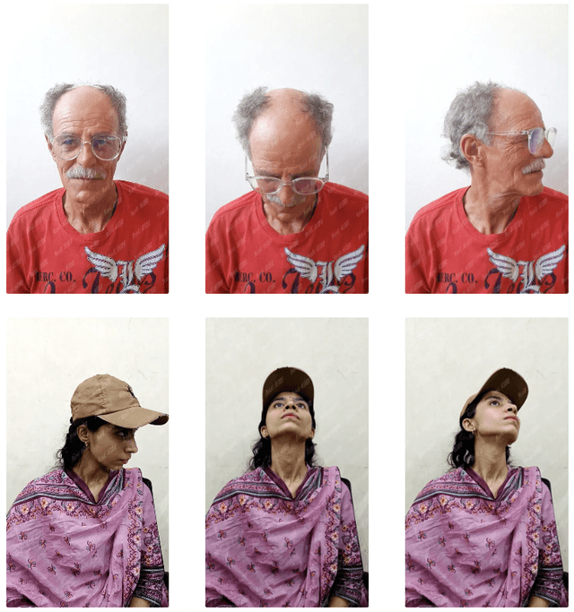 Head Occlusion and Rotation State Image Dataset Dataset on Opendatabay data marketplace