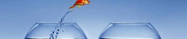 Credit Card User Behaviour Dataset Dataset on Opendatabay data marketplace