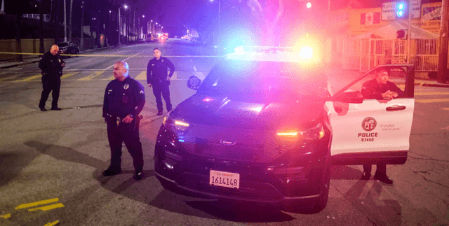 LAPD Reported Crime Data Dataset on Opendatabay data marketplace