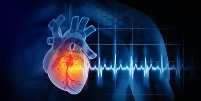 Coronary Risk Factor Study Data Dataset on Opendatabay data marketplace