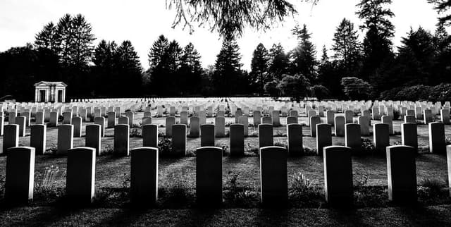 WHO Health and Mortality Indicators Registry Dataset on Opendatabay data marketplace