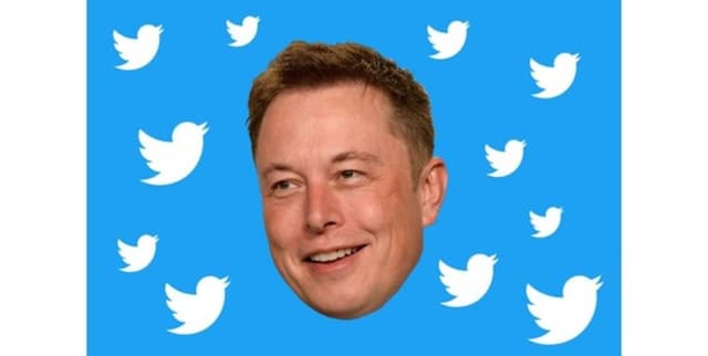 Elon Musk Tweet History Archive Dataset on Opendatabay data marketplace