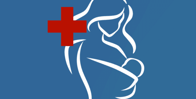 Maternal Health Indicators from Rural Bangladesh Dataset on Opendatabay data marketplace