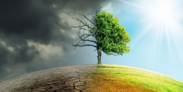 Worldwide Climate Change Indicators Dataset on Opendatabay data marketplace
