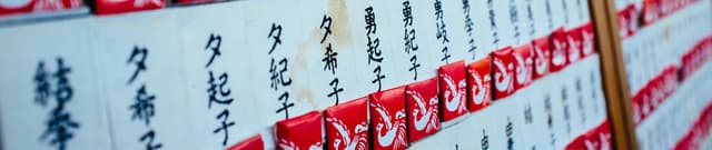 Japan Ministry of Education Standard Kanji Data Dataset on Opendatabay data marketplace