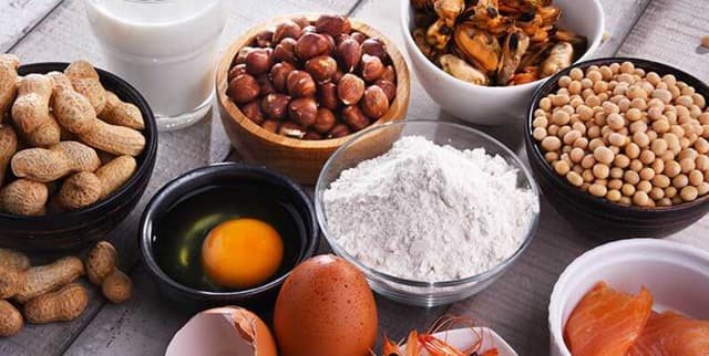 Food Allergen Dataset Dataset on Opendatabay data marketplace