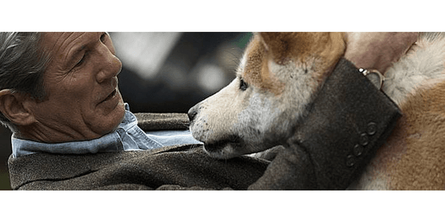 Movie Critic Sentiment Dataset Dataset on Opendatabay data marketplace