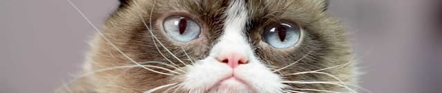 Viral Culture Dynamics Dataset Dataset on Opendatabay data marketplace