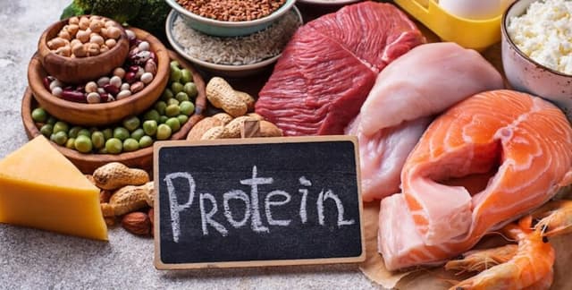 Popular High-Protein Food Macronutrient Data Dataset on Opendatabay data marketplace