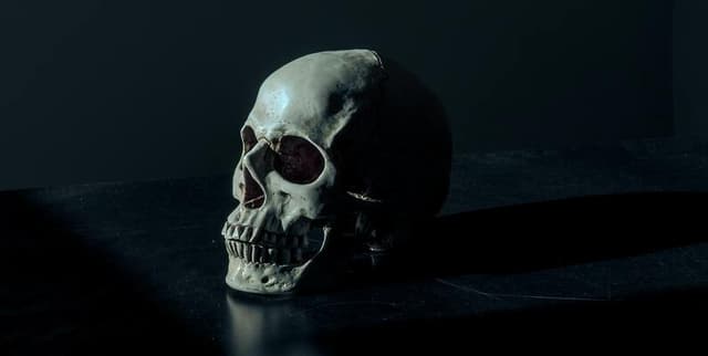 European Cancer Mortality and Life Expectancy Trends Dataset on Opendatabay data marketplace