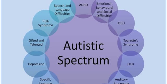 Adult Autism Spectrum Predictor Dataset on Opendatabay data marketplace