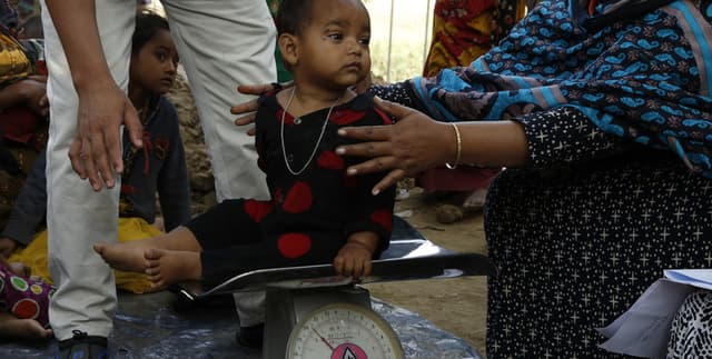 Max Foundation Child Undernutrition Program Data Dataset on Opendatabay data marketplace