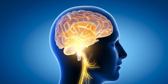 Parkinsons Disease Clinical Factors Dataset on Opendatabay data marketplace