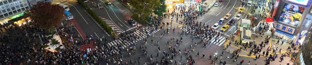 Tokyo Metropolitan COVID-19 Case Data Dataset on Opendatabay data marketplace