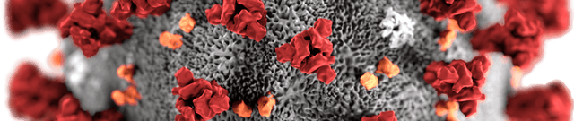 2019 Novel Coronavirus Time Series Data Dataset on Opendatabay data marketplace