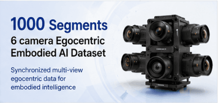 1000 Segments 6 camera Egocentric Video Dataset Dataset on Opendatabay data marketplace