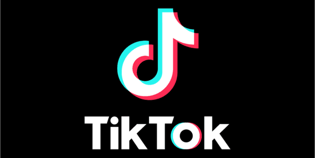 TikTok Influencer Metrics Dataset Dataset on Opendatabay data marketplace