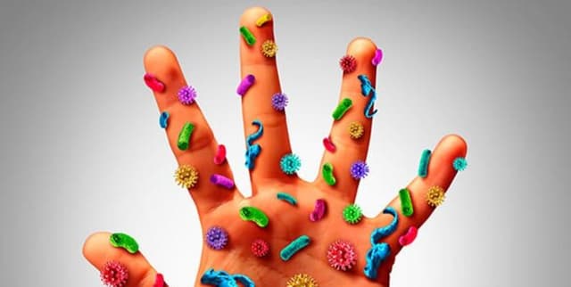 Ministry of Health UAE Infectious Disease Stats Dataset on Opendatabay data marketplace