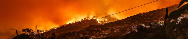 Historic California Wildfires Data Dataset on Opendatabay data marketplace