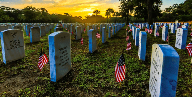 Historical US Death Rates by Cause Dataset on Opendatabay data marketplace