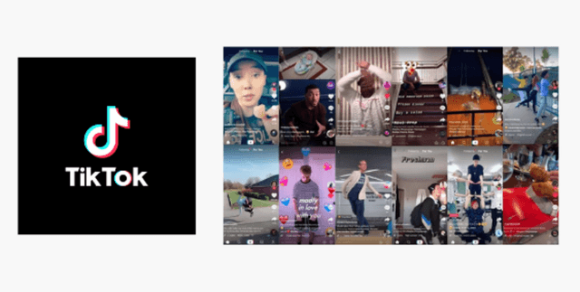 TikTok Customer Sentiment Data Dataset on Opendatabay data marketplace