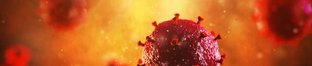 COVID-19 Country Risk Profile Dataset Dataset on Opendatabay data marketplace