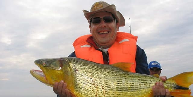 Italian Viral Fake News Dataset Dataset on Opendatabay data marketplace