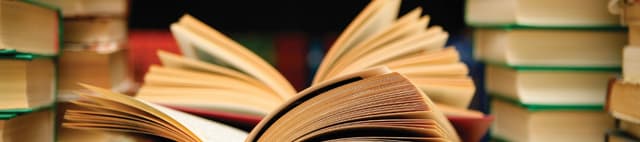 Bestseller Book Pricing Analysis Dataset Dataset on Opendatabay data marketplace