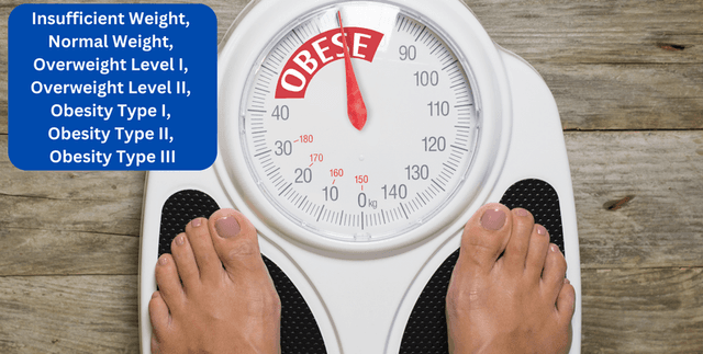 Healthcare Obesity Levels Dataset Dataset on Opendatabay data marketplace