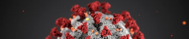 COVID-19 Twitter Activity Dataset on Opendatabay data marketplace