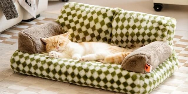 Amazon Cat Couch Feedback Dataset Dataset on Opendatabay data marketplace