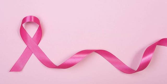 Clinical Breast Cancer Analysis Dataset Dataset on Opendatabay data marketplace