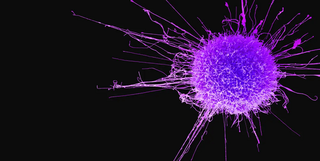 Patient Cancer Risk Factors Data Dataset on Opendatabay data marketplace