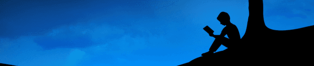 Kindle Pricing and Review Data Dataset on Opendatabay data marketplace