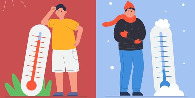 Sub-Optimal Temperature Mortality Data Dataset on Opendatabay data marketplace