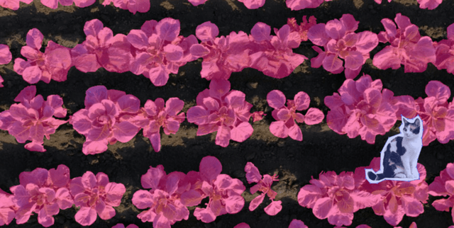 Agricultural Task Image Segmentation Data Dataset on Opendatabay data marketplace