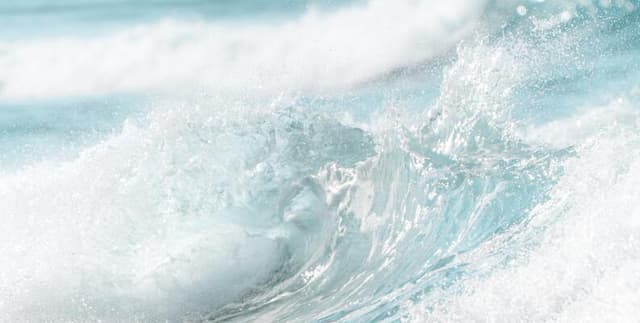 South Carolina Adopt-A-Beach Cleanup Records Dataset on Opendatabay data marketplace