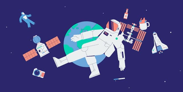 Spacefarer Profile Dataset Dataset on Opendatabay data marketplace