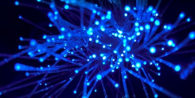 World Bank Global Broadband and Usage Data Dataset on Opendatabay data marketplace