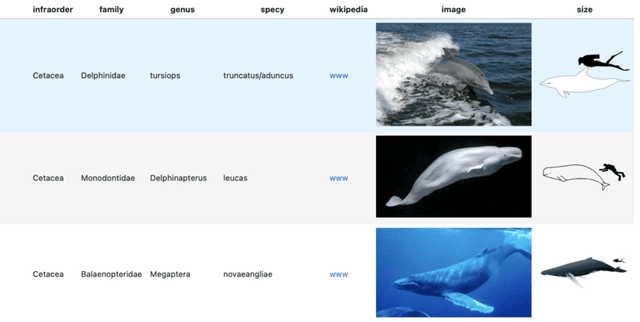 HappyWhale Classification Data Dataset on Opendatabay data marketplace