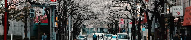 Japan Regional COVID-19 & Vaccine Data Dataset on Opendatabay data marketplace