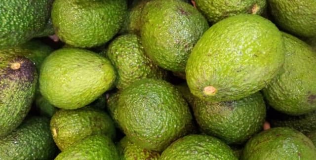 California County Avocado Statistics Dataset on Opendatabay data marketplace