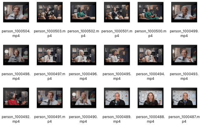 Multilingual Clean Talking-Head Video Dataset Dataset on Opendatabay data marketplace