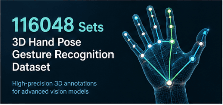 116048 Sets 3D Hand Pose Gesture Recognition Dataset Dataset on Opendatabay data marketplace