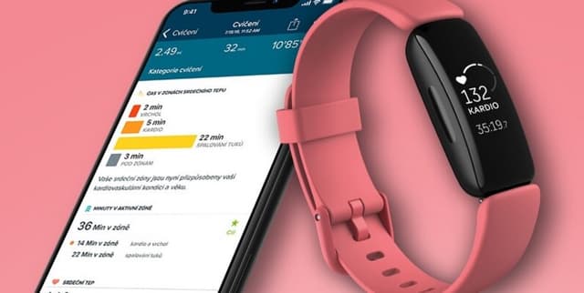 Wearable Fitness Tracker Daily Data Dataset on Opendatabay data marketplace