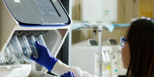 European R&D Personnel by Sector and Position Dataset on Opendatabay data marketplace