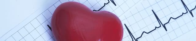 Heart Disease Prediction Dataset Dataset on Opendatabay data marketplace