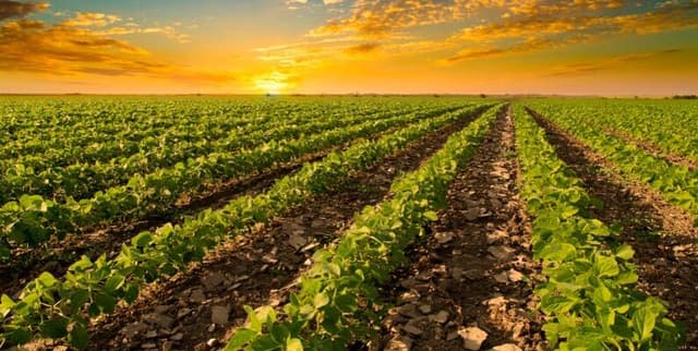 Crop Production Prediction Dataset Dataset on Opendatabay data marketplace